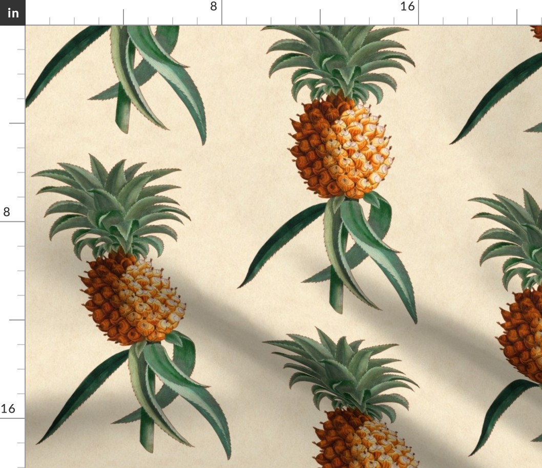 Pineapples Antique Botanical