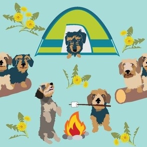 medium print // wire hair dachshund dogs go camping camp fire toast marshmallows tent 