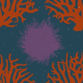 Mediterranean Coral and Sea Urchin // Tunisia Inspired