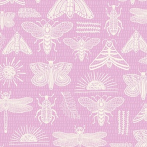 Pink Doodle Bugs, beetle, butterfly, dragonfly-MEDIUM