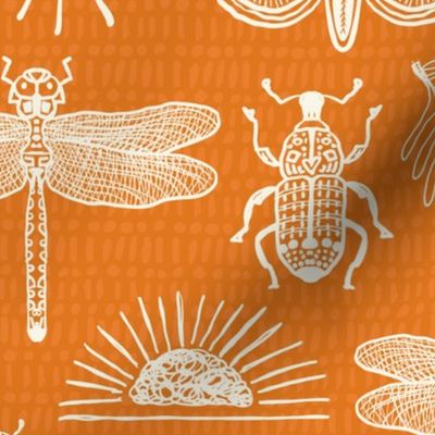 Orange Doodle Bugs, beetle, butterfly, dragonfly-MEDIUM