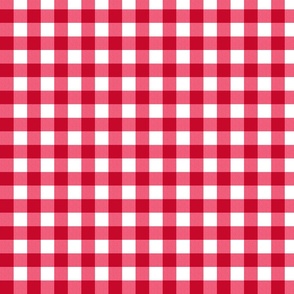 Red gingham pattern - medium small