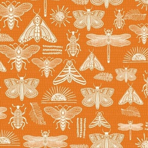 Orange Doodle Bugs, beetle, butterfly, dragonfly-SMALL