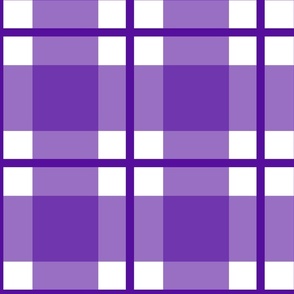 Jumbo purple plaid - purple gingham with narrow darker stripe - buffalo plaid