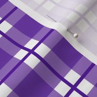 Medium scale purple plaid - purple gingham with narrow darker stripe - 6 inch repeat