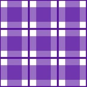 Medium scale purple plaid - purple gingham with narrow darker stripe - 6 inch repeat