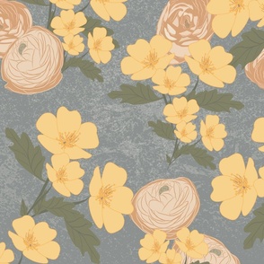 Buttercups in yellow and apricot on a gray  background 
