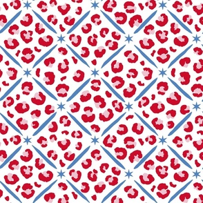 wild geometric pattern clash/red pink blue
