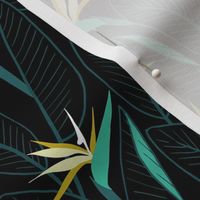 Birds of Paradise and leaves - Black and Green