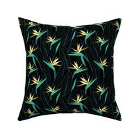 Birds of Paradise and leaves - Black and Green