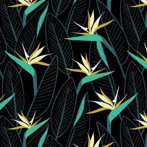 Birds of Paradise and leaves - Black and Green