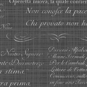 Vintage Italian Scripts in neutral dark grey white