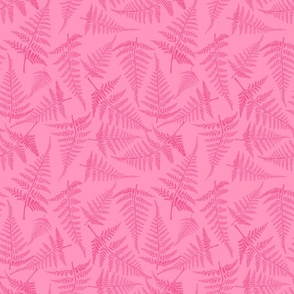 Musky pink on pink fern frond silhouettes