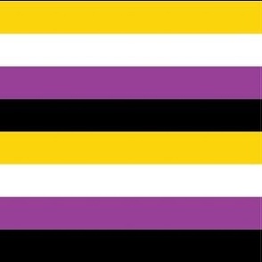 medium 3in stripe - nonbinary flag