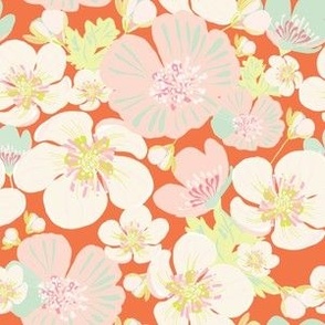 Buttercups Pinks Oranges Teal Yellow Floral Flowers Large Size Girl's Wallpaper Fun Colorful