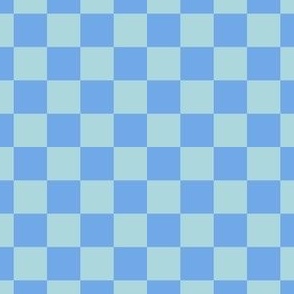 Blue Checkered