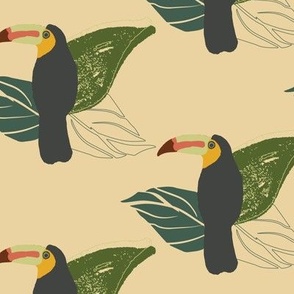 Toucans