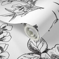 Wild Flower Sketches Black & White