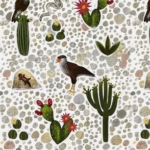 Caracaras and Cacti, Desert Birds of Prey with Colorful Cactus