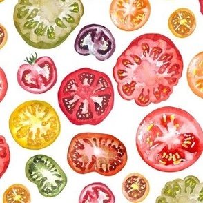 Heirloom Tomato Slices Watercolor on White