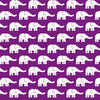 1501797-medium-elephants-violet-by-katharinahirsch