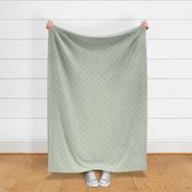 Garden Path Argyle: Sage Green & Cream Floral