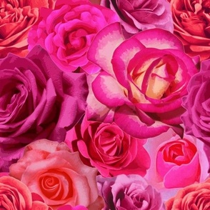 Wonderful rosy roses