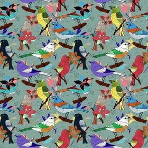 Maximalistic pattern of colorful birds teal background