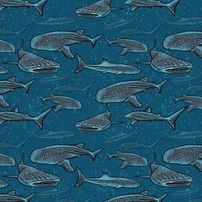 Whale Sharks of Ningaloo Dark Small