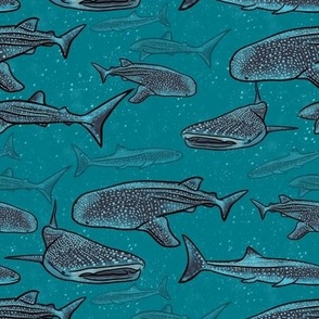 Whale Sharks of Ningaloo Teal