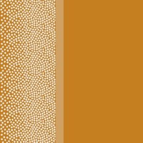 border_dots_C57F20_desert_sun