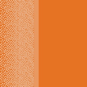 border_dots_E57323_carrot