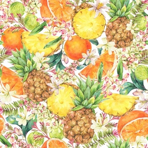Vintage watercolor tropical fruit on white