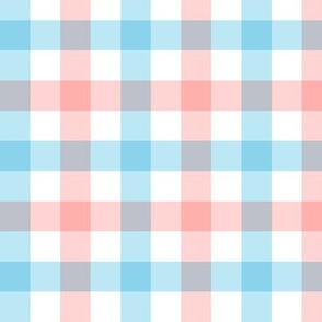 Pale Coral & Aqua Blue Gingham Plaid PF131B