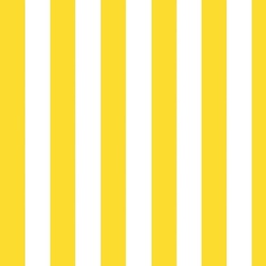 Cheerful Yellow and White Summer Stripes