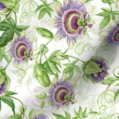 10" Exotic Watercolor Hand Painted Wildest Passionflowers Meadow-  white double layer-     for home decor Baby Girl and tropical nursery fabric perfect for kidsroom wallpaper,kids room