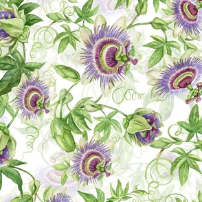 21"  Exotic Watercolor Hand Painted Wildest Passionflowers Meadow-  white double layer-     for home decor Baby Girl and tropical nursery fabric perfect for kidsroom wallpaper,kids room