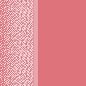 border_dot_DF737B_watermelon_pink