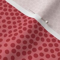 border_dots_DF737B_watermelon_red