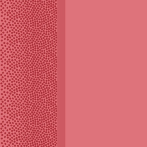 border_dots_DF737B_watermelon_red