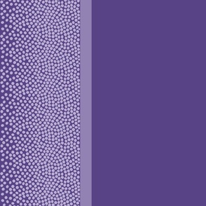 border_dots_584387_grape_purple