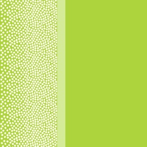 border_dots_AED43D_lime