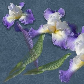 12x8-Inch Repeat of Purple Iris Bring Wisdom and Grandeur in the Language of Flowers (Hanakotoba)