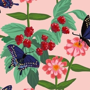 Butterflies Raspberries and zinnias on pink backgrond