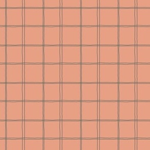 Cottage Picnic Pinstripe Plaid - Pink Small 2x2