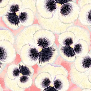 pansy flower in cream white & deep purple with yellow center | big scale floral