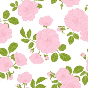 wild_rose_pattern_3