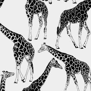 Black Ink Lineart Giraffes Large Scale