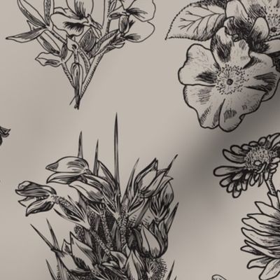 Wild Flower Sketches-Black on Taupe