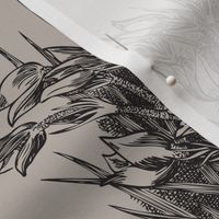 Wild Flower Sketches-Black on Taupe